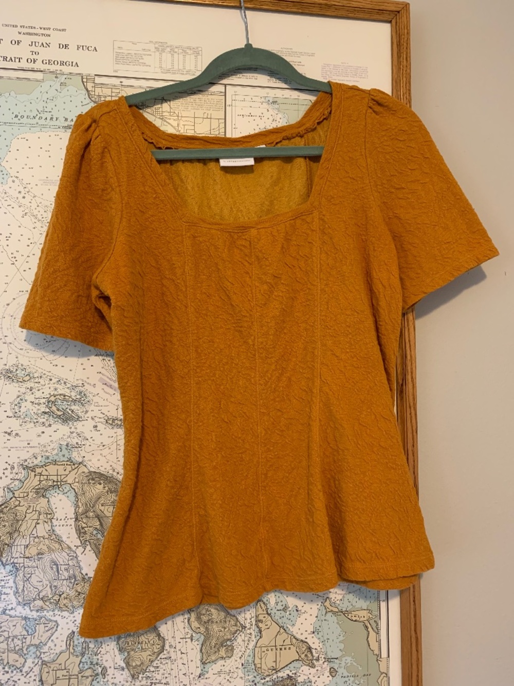 Anthropologie Mustard Shirt